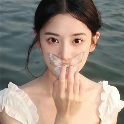森林里的熊先生